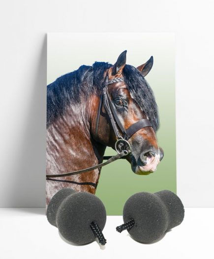 Heritage Horse Ear Plugs